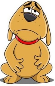 Picture for category Upset Tummy